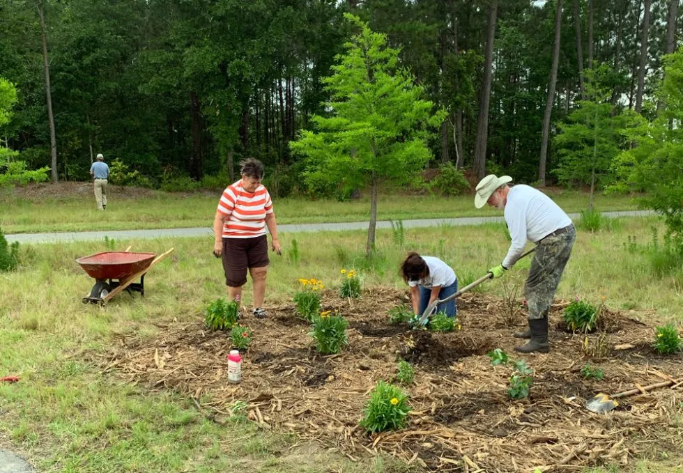 Birds, Bees & Butterflies: Our Newest Neighbors