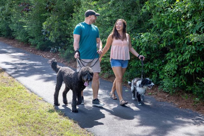 A couple walking two dogs along a paved trail