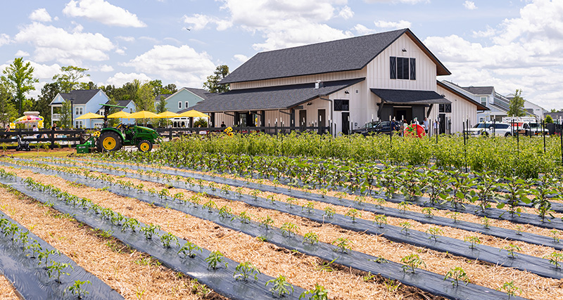 The Farm at Carnes Crossroads