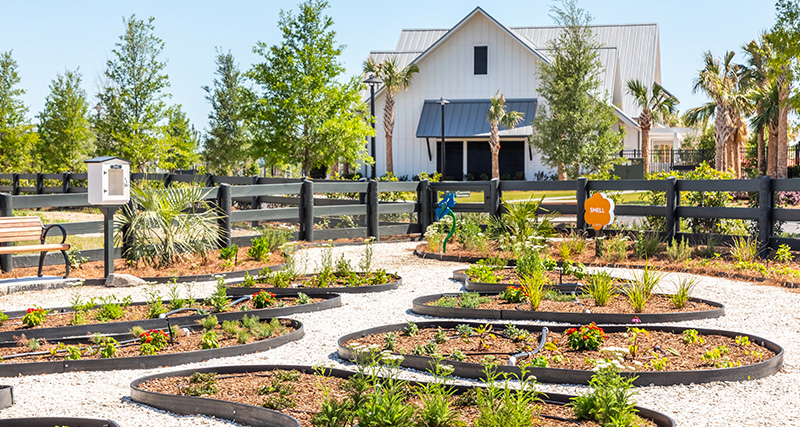 Our You-Pick Garden