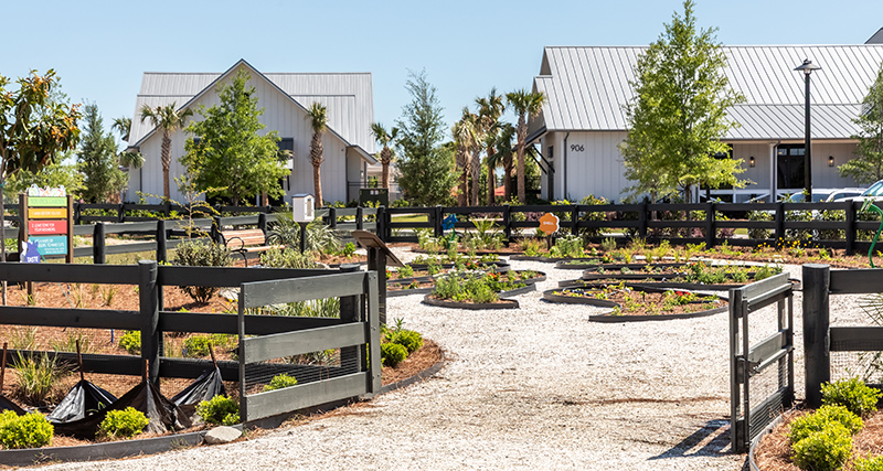 Carnes Crossroads You-Pick Garden