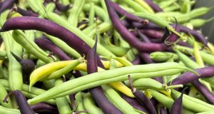 Beans at Carnes Crossroads