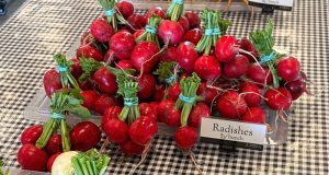 Radishes - Bringing the Harvest Home at Carnes Crossroads