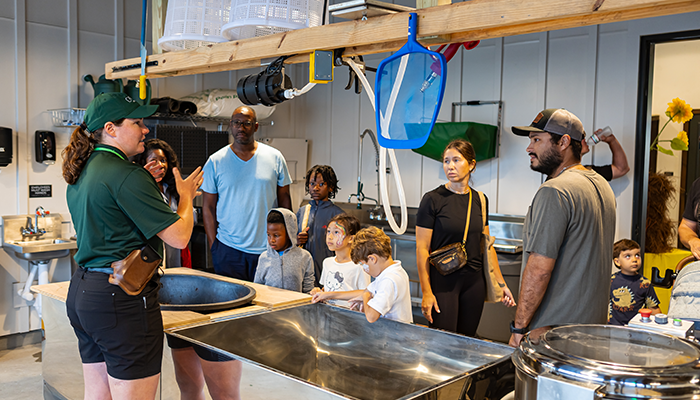 Volunteer at The Farm and Dig Into Agrihood Joys