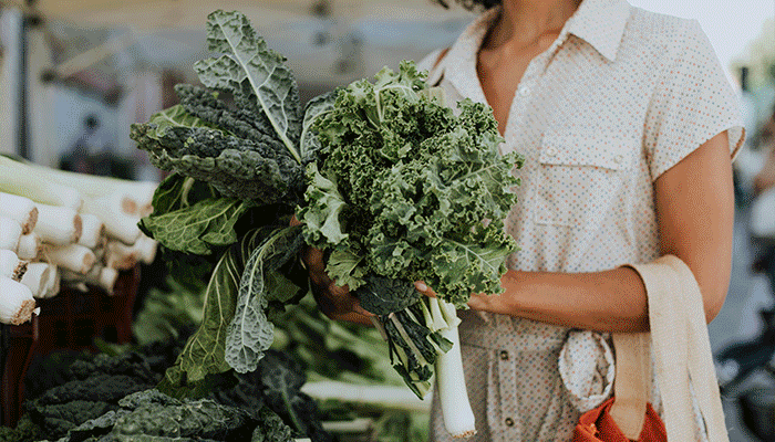 Here's What's Fresh This Fall