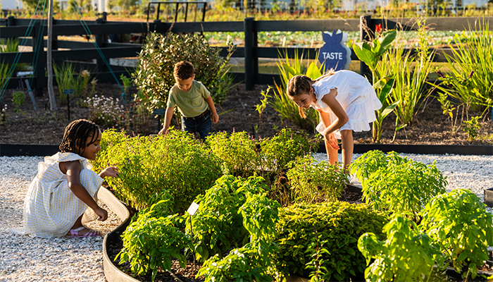 Rooted in Wellness — The Health Benefits of a Community Rooted in Nature