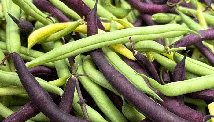 vegetables gallery health benefits